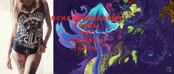 ГАЛЛЮЦИНОГЕННЫЕ ГРИБЫ Магас