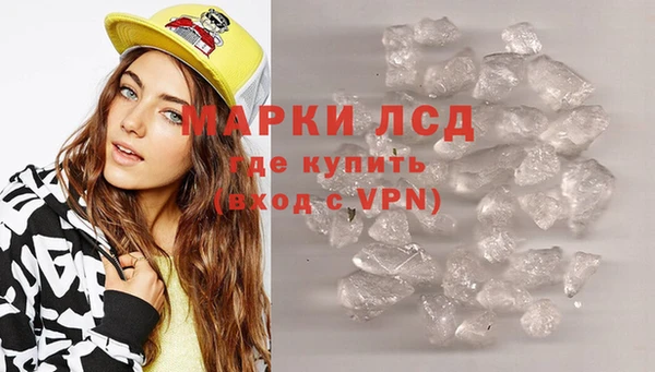 ГАЛЛЮЦИНОГЕННЫЕ ГРИБЫ Магас