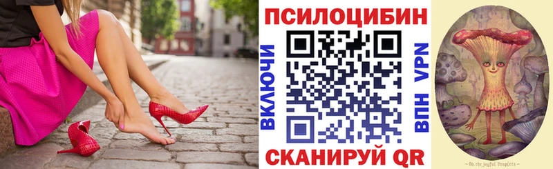 Купить  Мурино  Псилоцибиновые грибы мухоморы 